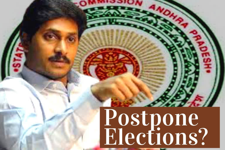 Andhra local body elections