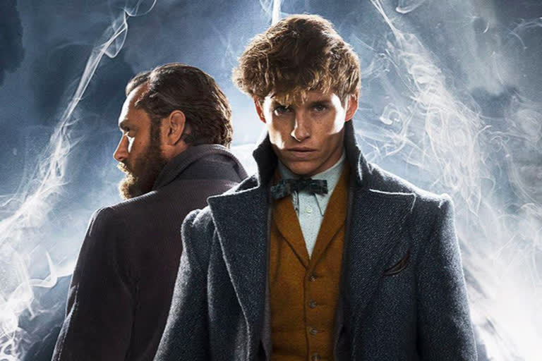 Fantastic Beasts 3 shoot halted