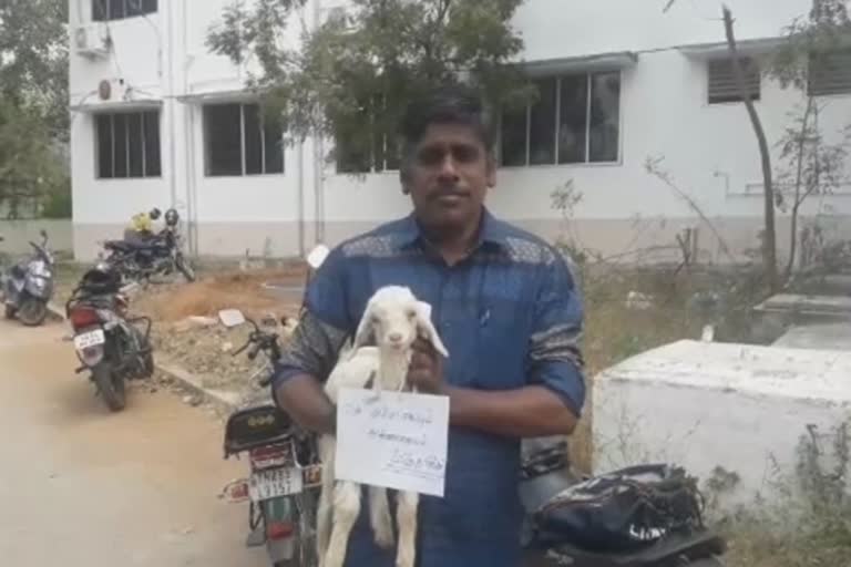 in trichy goat given pettition to collector for identified my blood relations who were thefted