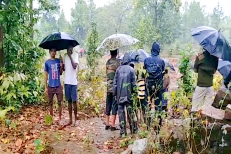 Elephants killed an 18 year old boy in jashpur