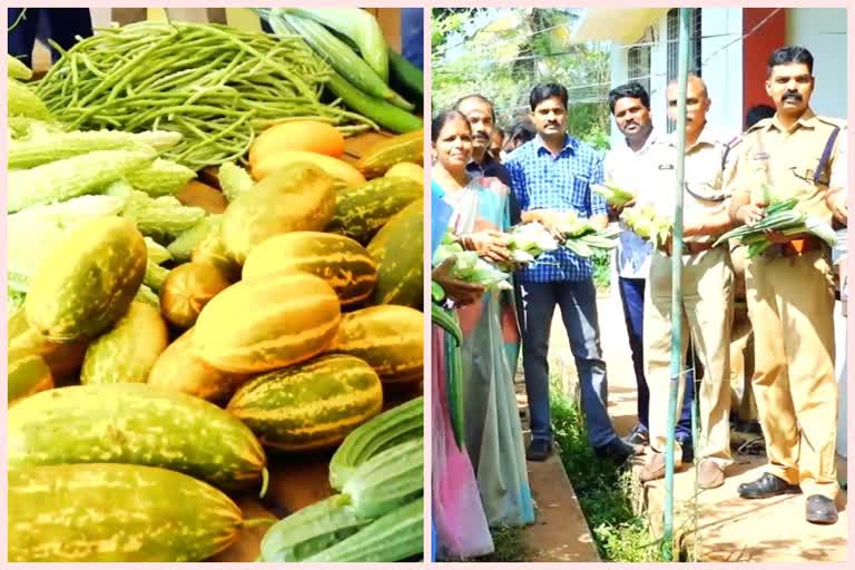 Krishi Fire brigade workers benefit from vegetable farming പച്ചക്കറി കൃഷി പച്ചക്കറി കൃഷിയിൽ നേട്ടം കൊയ്‌ത് തൃക്കരിപ്പൂരിലെ അഗ്‌നിശമനസേനാ ജീവനക്കാര്‍