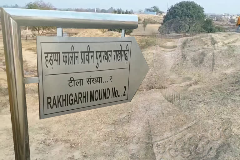 full report on hissar rakhigarhi archeological site