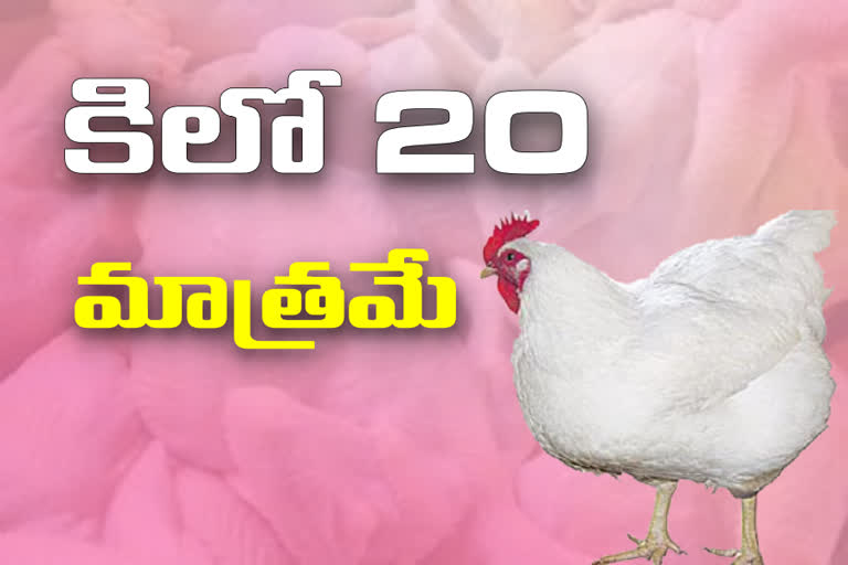 broiler-chicken-prices-rs-20-per-kg-in-nampally-chicken-market-hyderabad