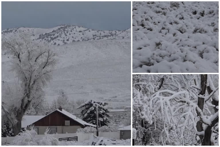 various, heavy snowfall covers trees, mountains, roads in reno, nevada