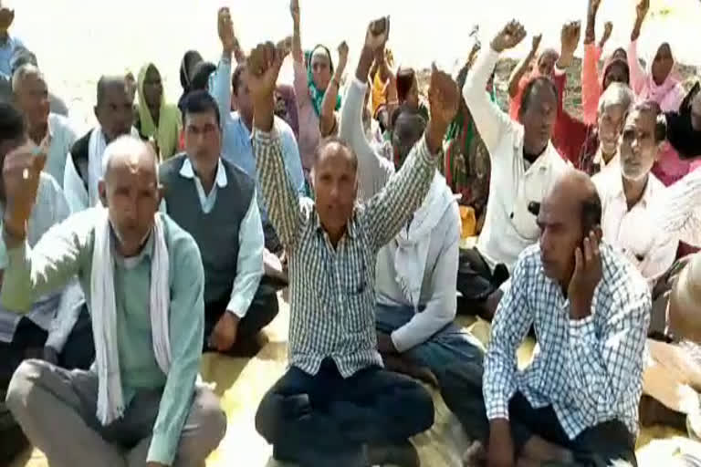 yamunanagar forest department workers protest