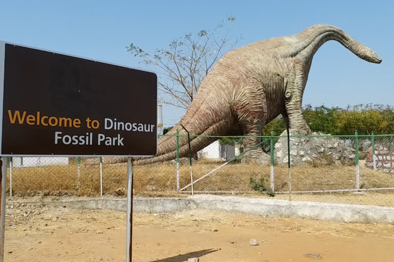 Etv Bharat, Gujarati News, Fossil Park