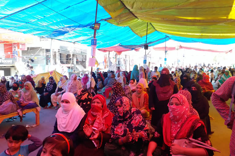 Protesters at Shaheen Bagh