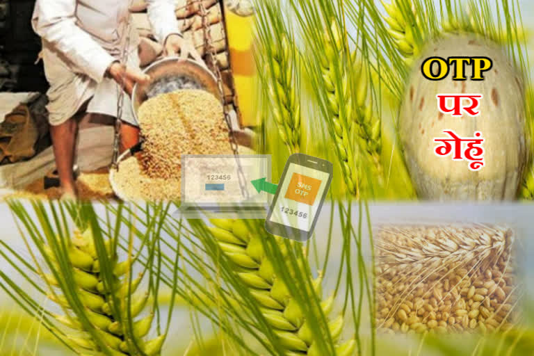 कोरोना का डर, wheat will be provided with otp