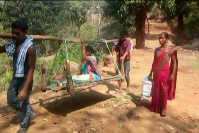 again pregnant women carried by cot in rayagada