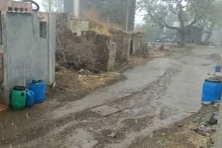 Early rains in Rajapur in Yeola have damaged farmers crops