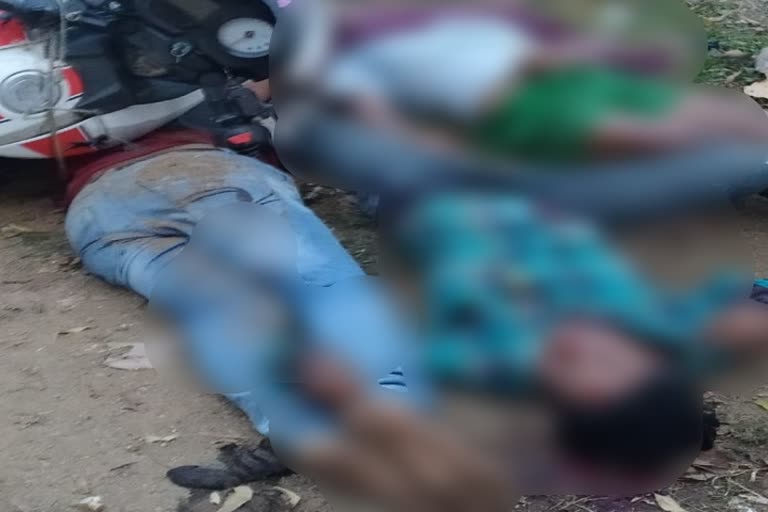 3 died in road accident in godda