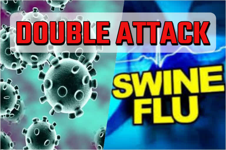 Uttarakhand swine flu