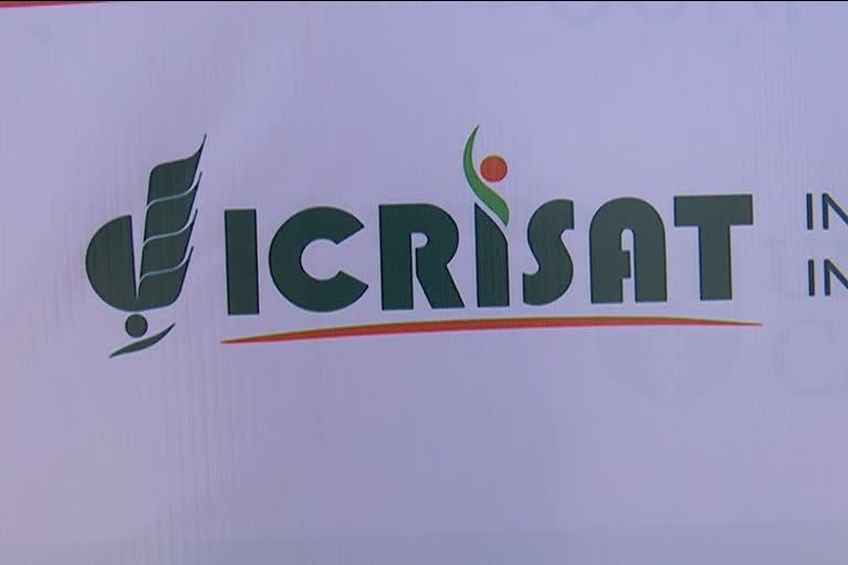 Icrisat employees are working from home due to the corona effect near Hyderabad sangareddy