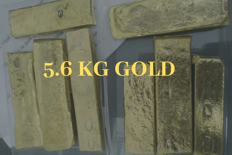 5.6 kg gold worth 4 crore seized from Mangalore