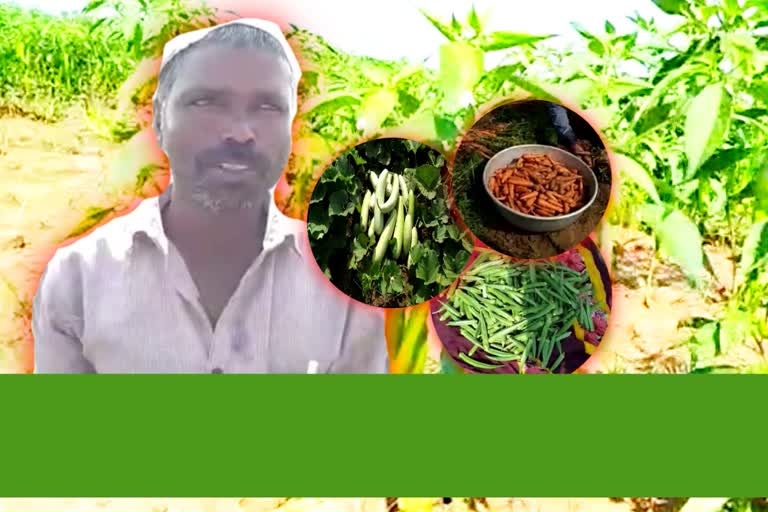 getting extra income on vegitables cultivation in kuchanapalli