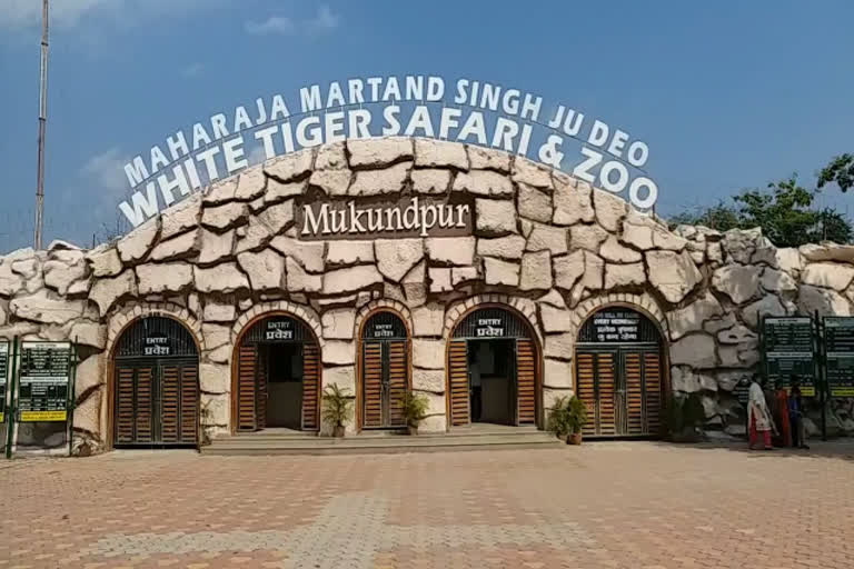 Mukundpur  Safari