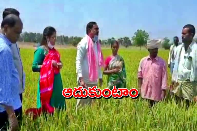 minister errabelli dayaka rao visited fields in janagaon district