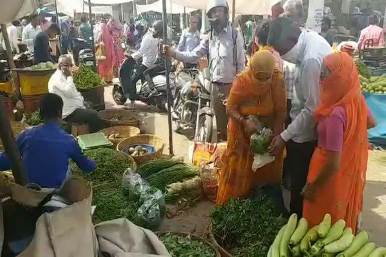 Pavta Mandi Jodhpur, जोधपुर की खबर