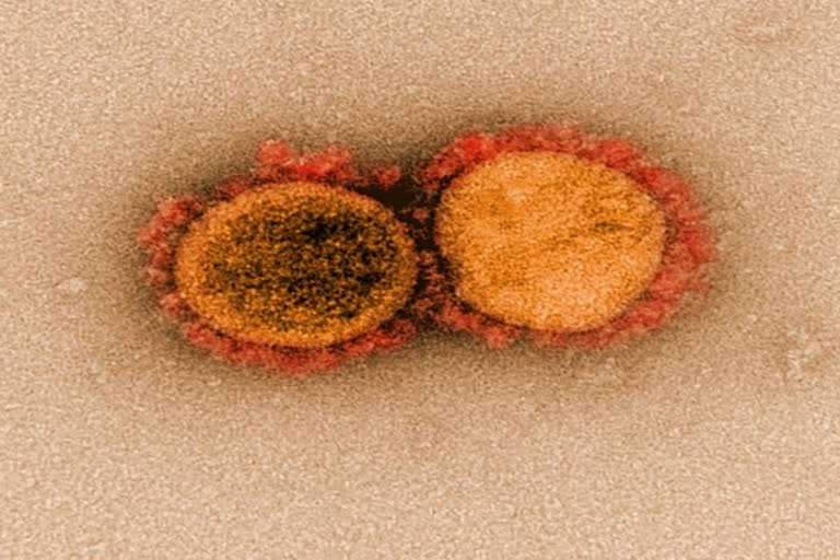 Coronavirus : Section 144 imposed in North Goa  covid 19 updates  north goa updates  കൊവിഡ് 19 വാർത്ത  വടക്കൻ ഗോവ വാർത്ത  ഗോവയില്‍ നിരോധനാജ്ഞ