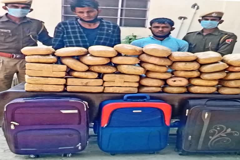 ganja smuggler arrested, सवाई माधोपुर में गांजा तस्करी