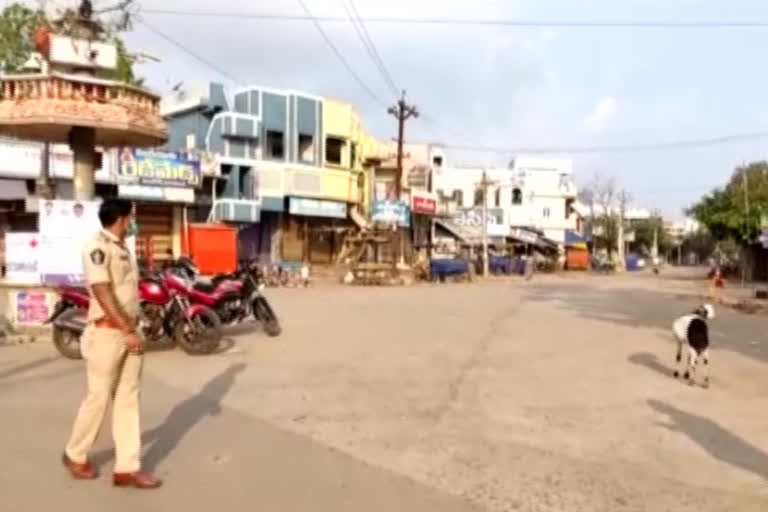 Janata curfew in avanigadda