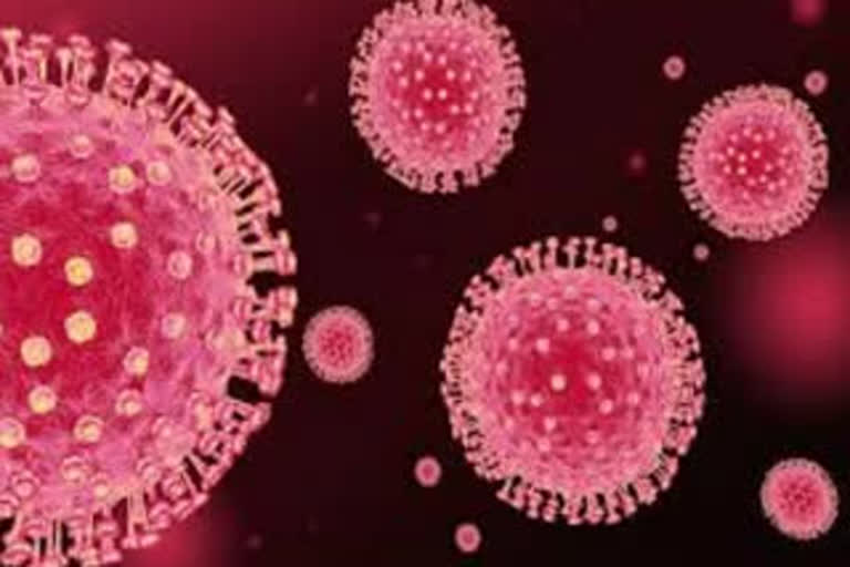 COVID-19  Coronavirus  കൊവിഡ് മരണം  ഗുജറാത്തിൽ കൊവിഡ് മരണം