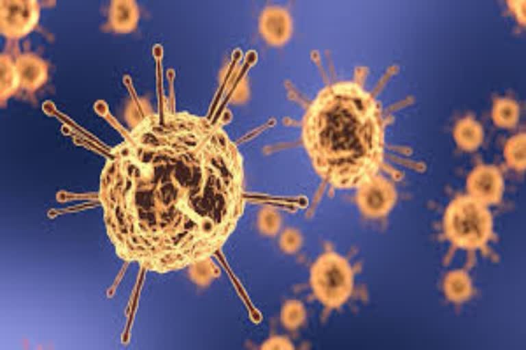 coronavirus