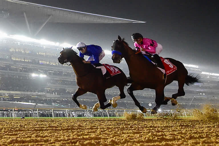 Dubai World Cup