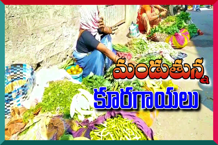 vegetables prices increased in bellampalli