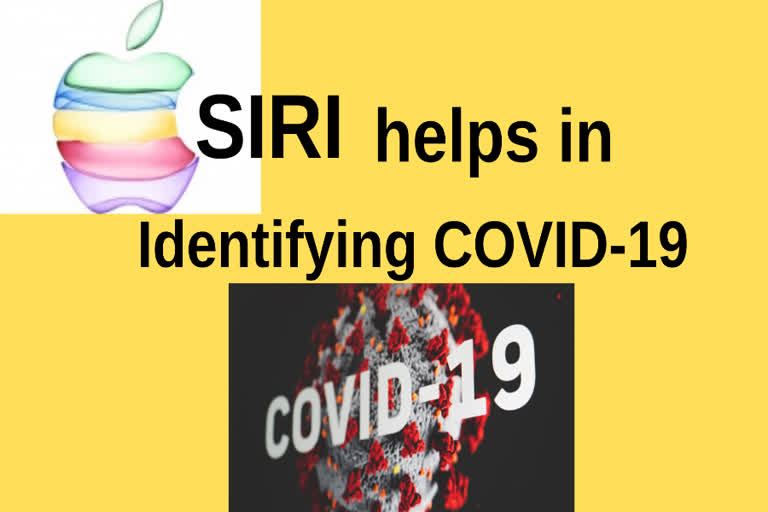 Apple Siri helps users who ask about their Coronavirus status