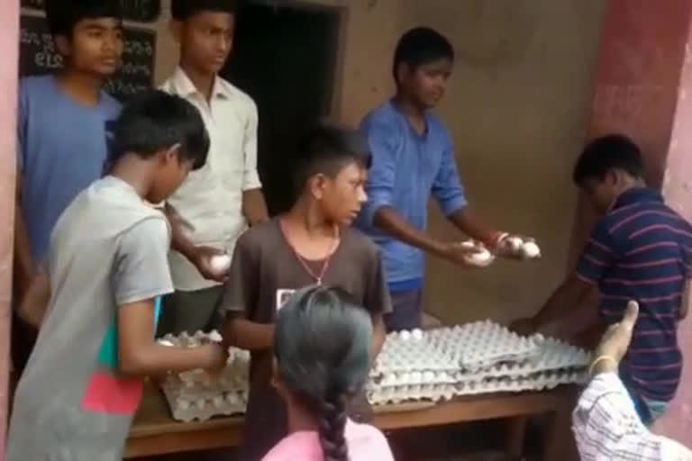 distribution of eggs at palavalasa government school