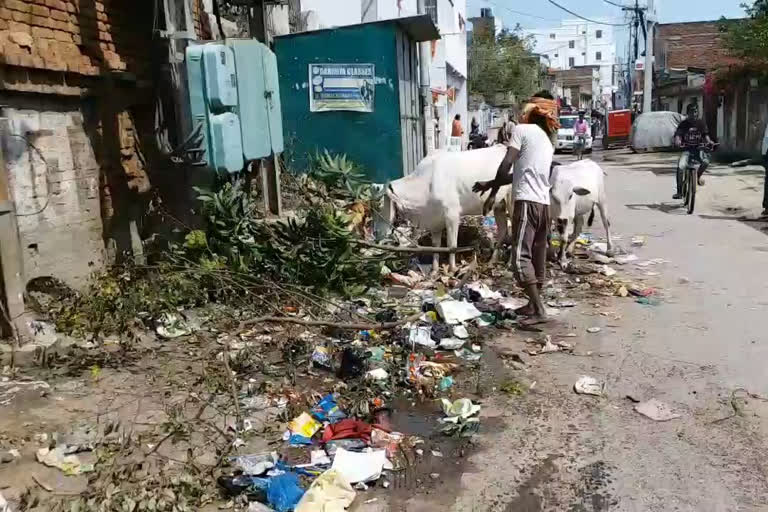 दरभंगा से विजय कुमार श्रीवास्तव की रिपोर्ट