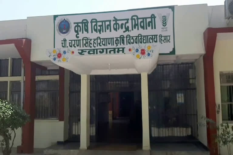 agriculture department haryana