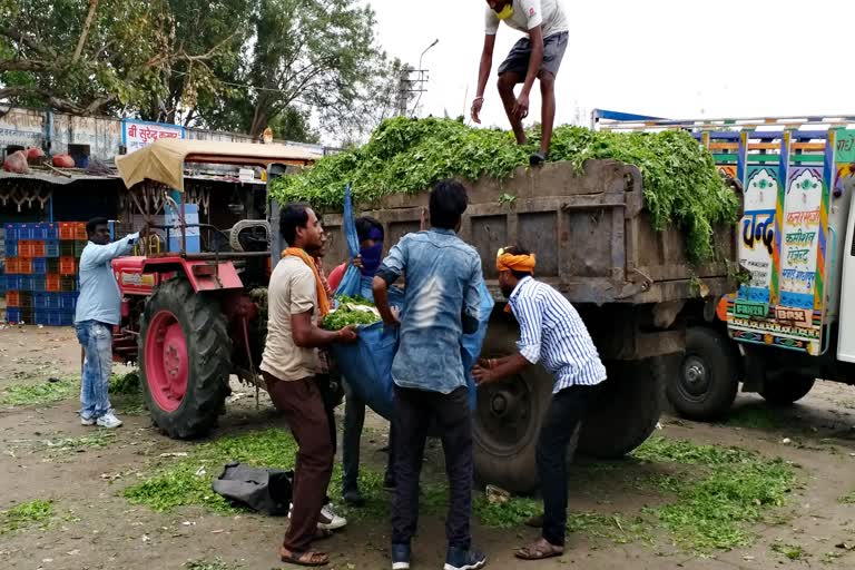 कोटा लॉक डाउन,  kota lock down