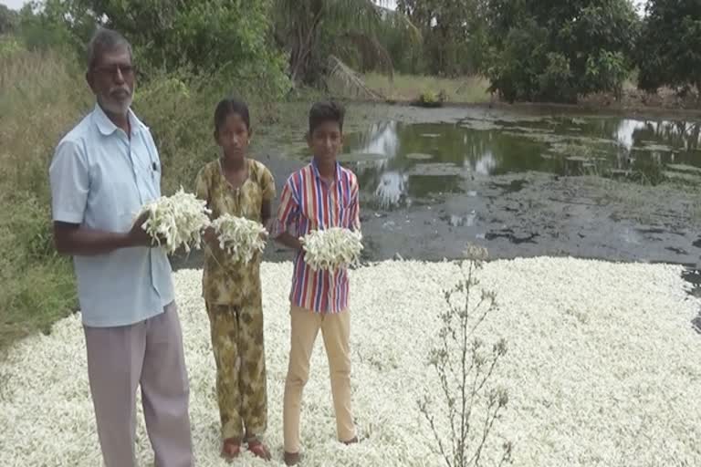 பூக்களை குட்டையில் கொட்டிய விவசாயிகள்