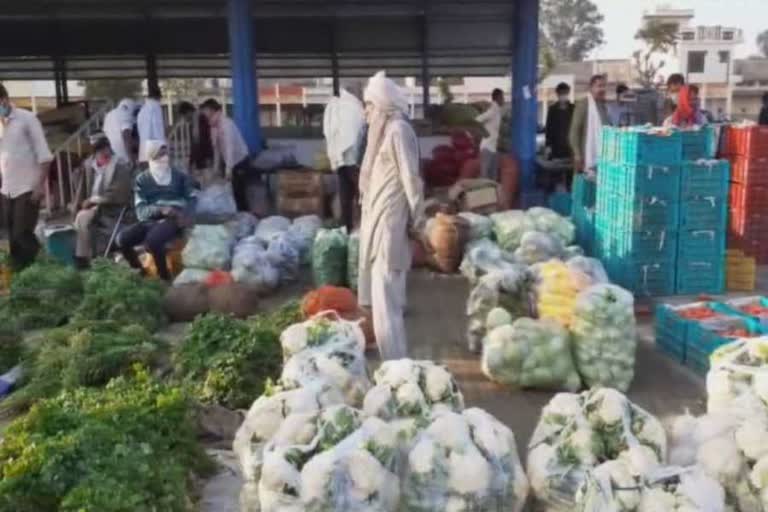 corona virus effect on vegetable prices  in radaur