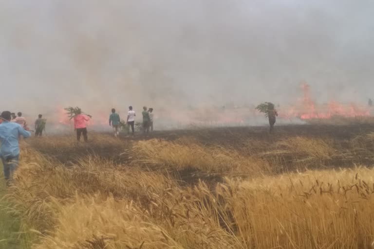 Fire in wheat field due to short circuit