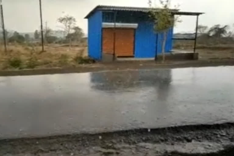 nashik-district-received-periodic-rains