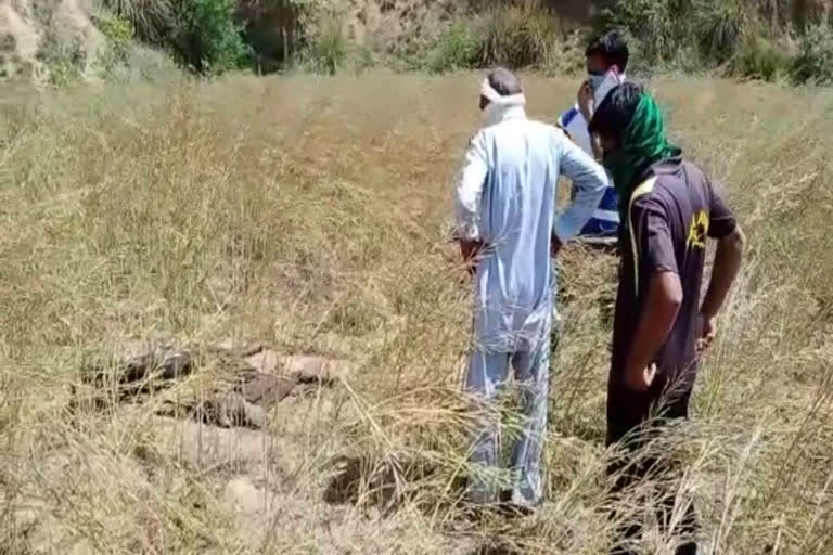 dead man's body found, सरसों के खेत में मिला युवक का शव