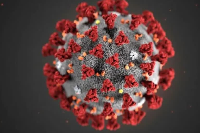 coronavirus  covid-19  Corona patient  Covidiots  JK hospital  ശ്രീനഗറിലെ ആശുപത്രിയിൽ നിന്ന് കടന്നയാളെ കണ്ടെത്തി  Suspected coronavirus patient flees from JK hospital, tracked  കൊവിഡ്