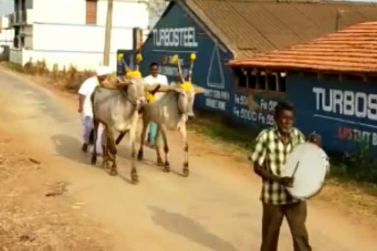 ugadi celebration in hassan