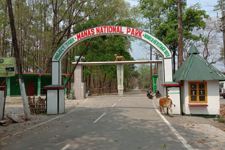 manas-national-park-lock-down