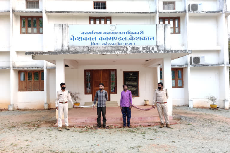 Two young men arrested for hunting wild boar