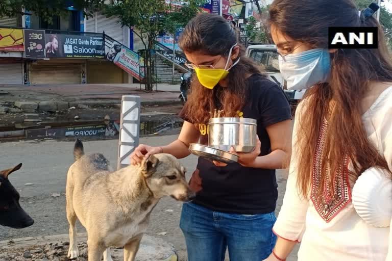 Kajal&Disha provided food to stray dogs