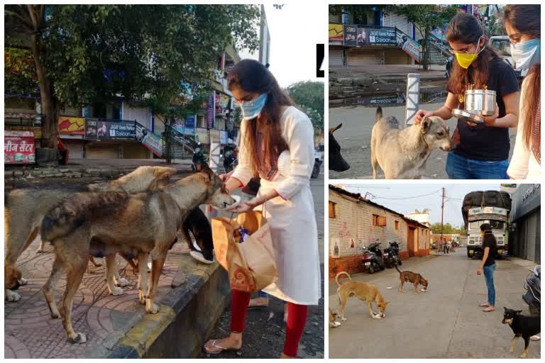 2 sister from maharatra provide food to stray dog