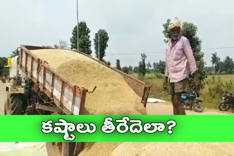 nellore district farmers