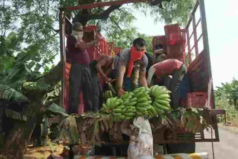 banana producers welcomes government decision for banana transporation during lockdown period