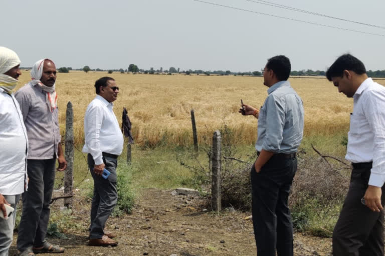 collector-of-sehore-inspected-the-lock-down-and-rain-affected-area-of-the-district