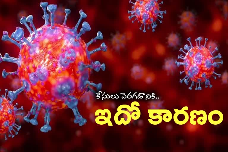 causes of corona virus  spreed