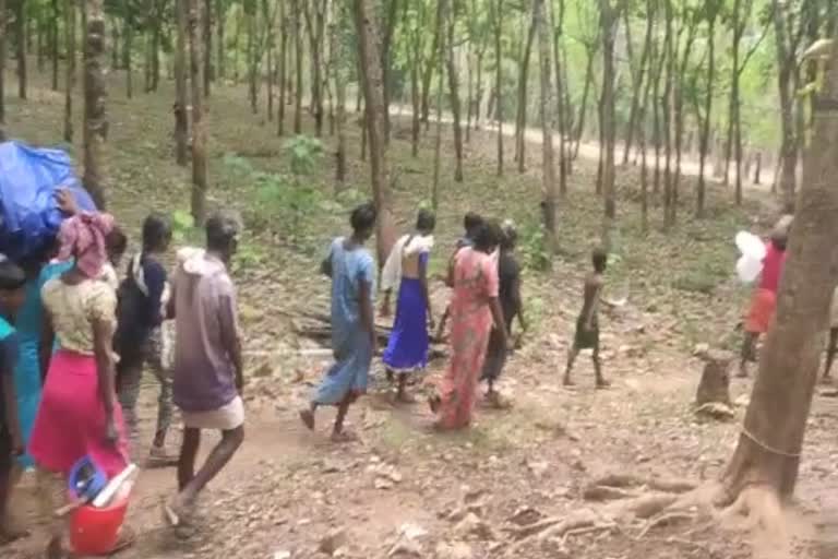 Amid Covid scare people of tribal communities relocate into deep forests